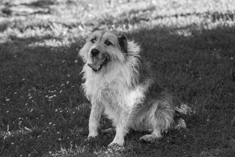 260419-Beynac-029-BW